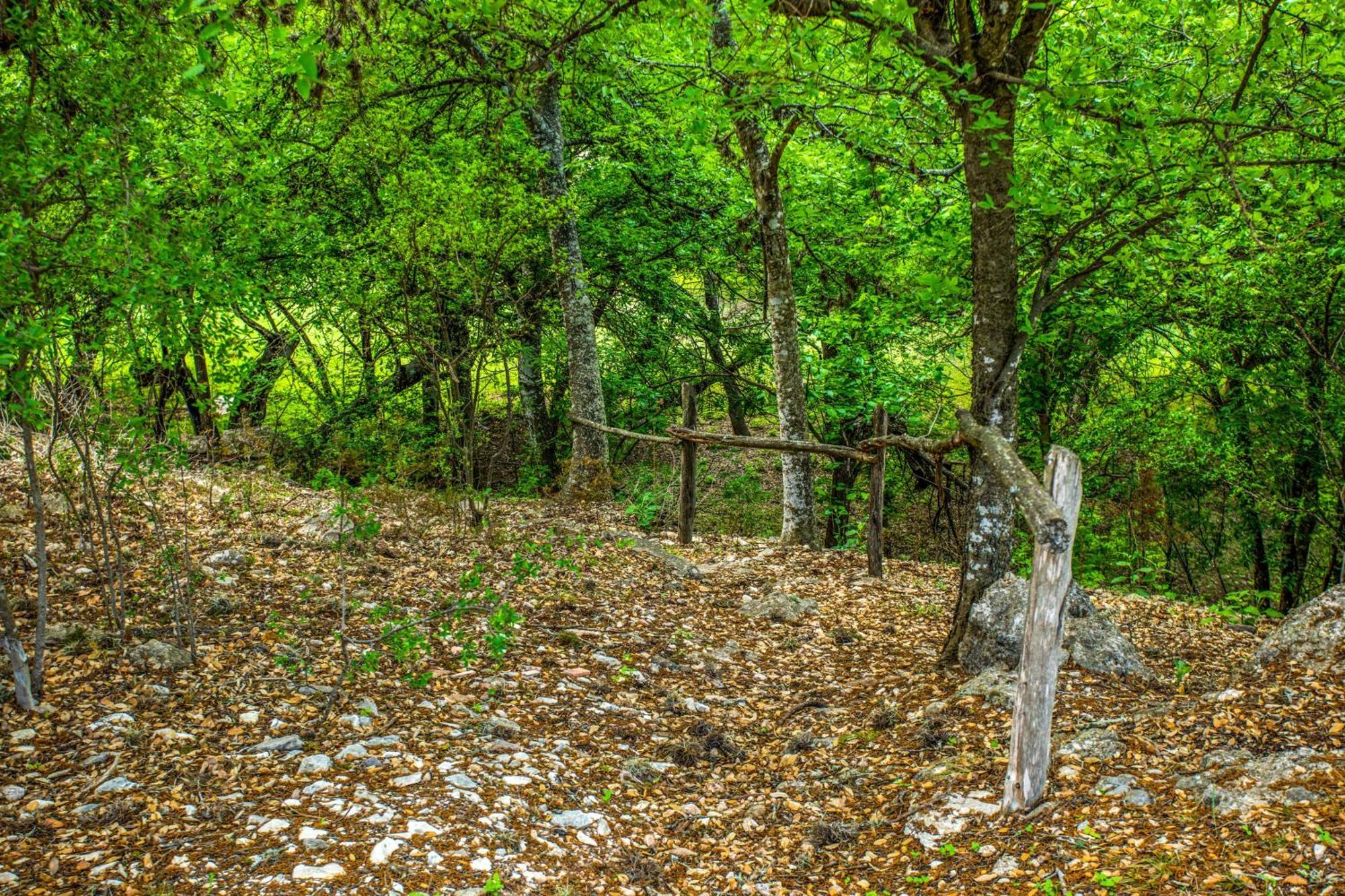 River Ridge Bandera Cabin Екстер'єр фото